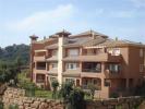 Photo of El Vicario
